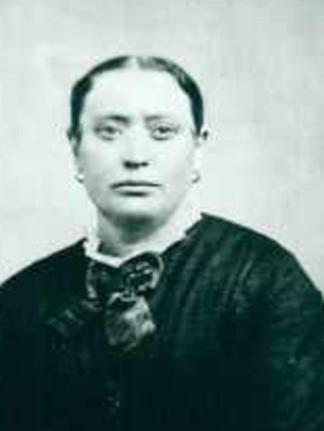 Eliza Barnum Curtis (1837 - 1911) Profile